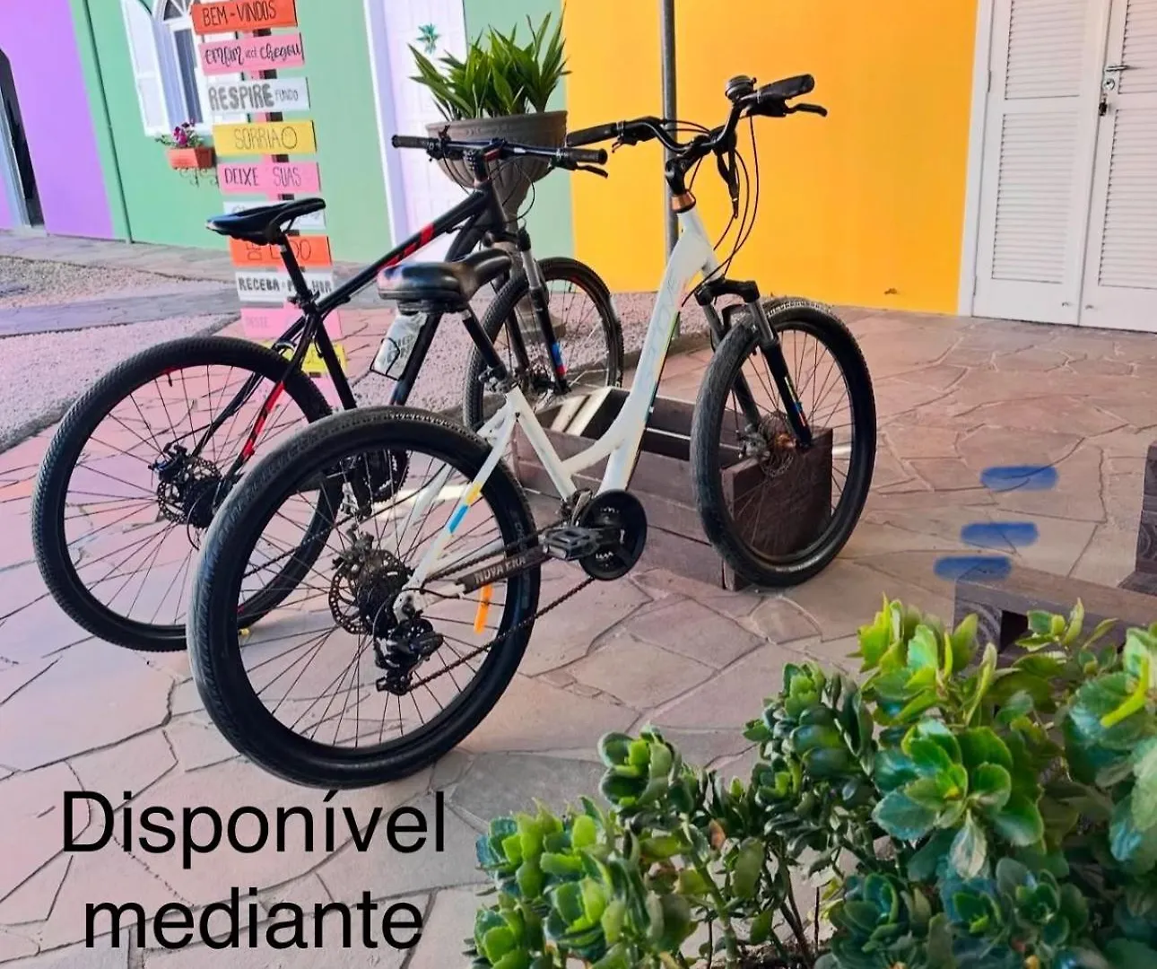 Homestay La Vita Hospedaria Studio Verde Nova Veneza